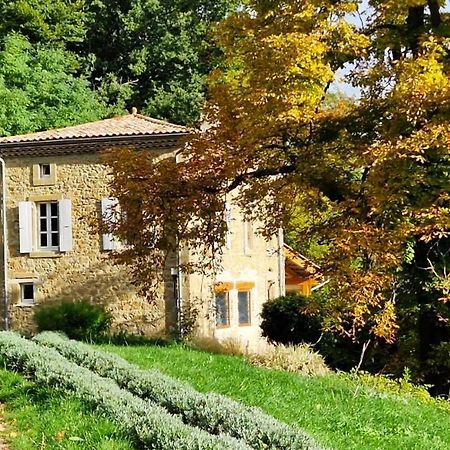 Gite Du Grand Delmas Bourdeaux Bagian luar foto